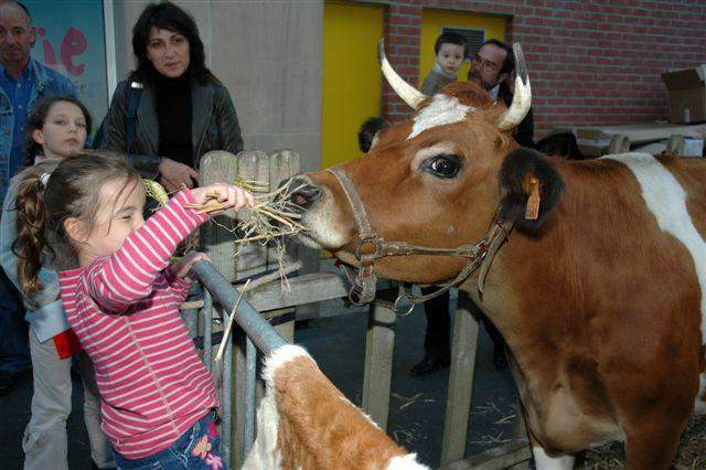 Animations scolaires Paris