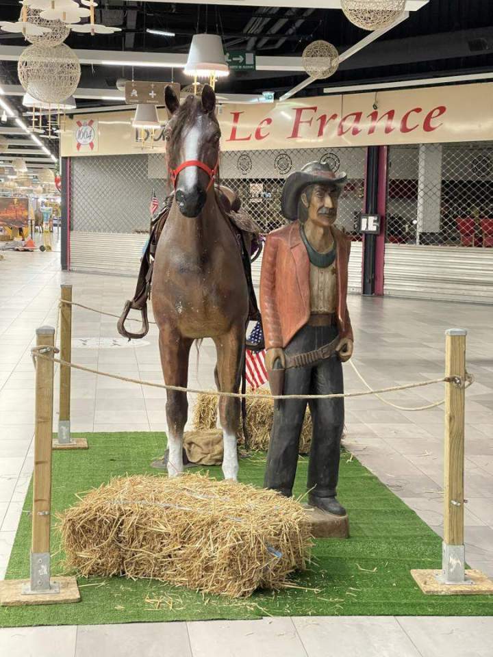 Animations thématiques western Paris