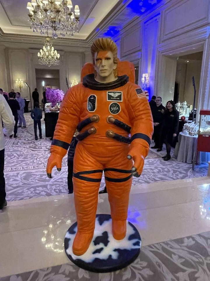 Astronaute stardust ids