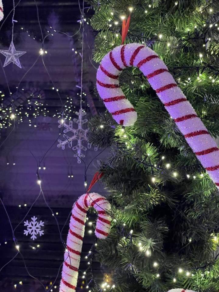 Décors Noël Paris  