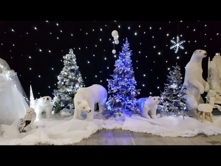 Décors Noël Paris