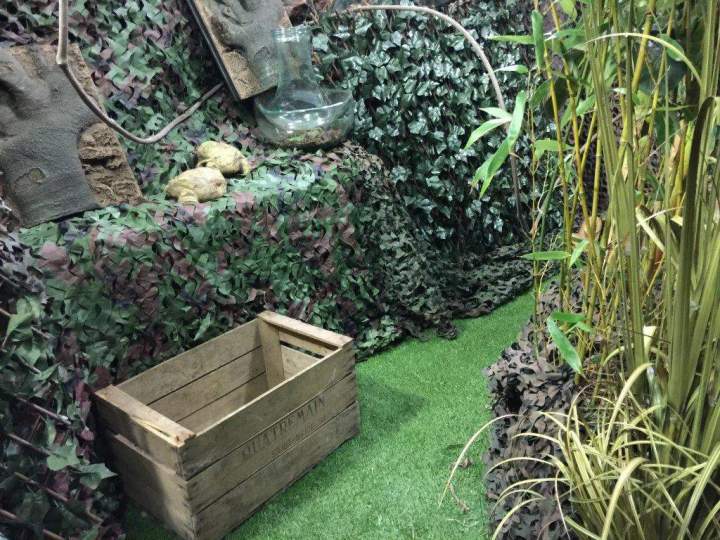 IMG 1107