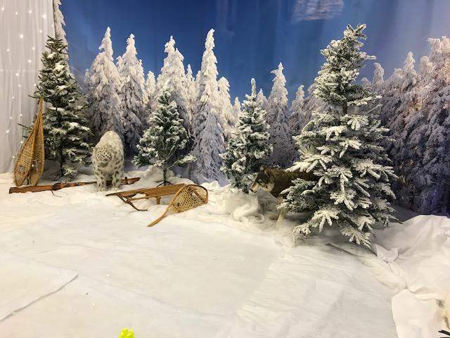 Location accessoires ski Paris