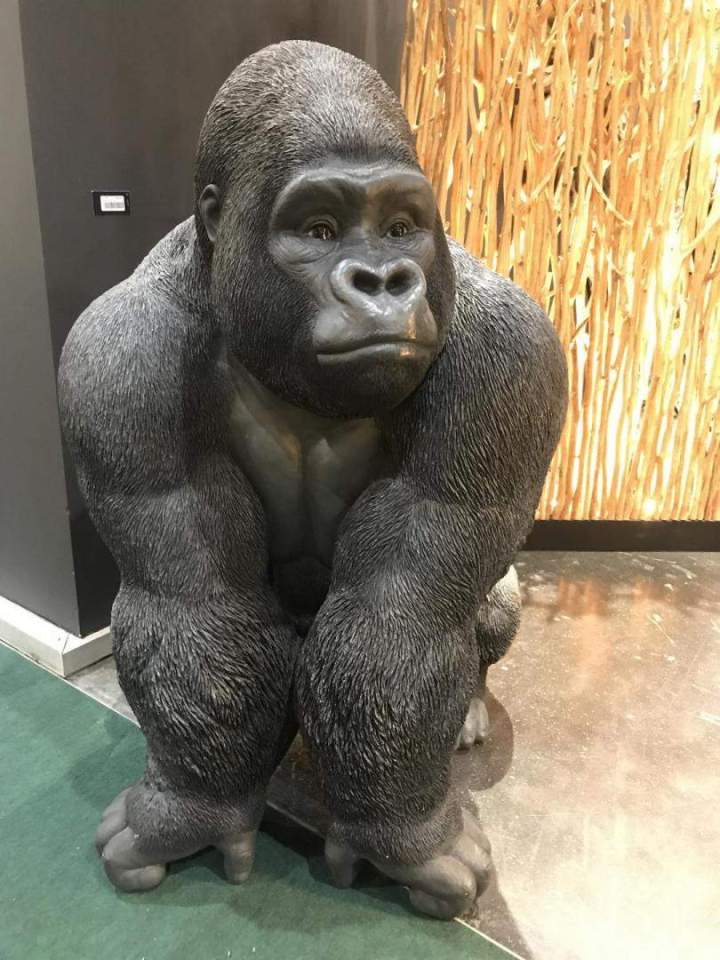 Location animaux de présentation Paris