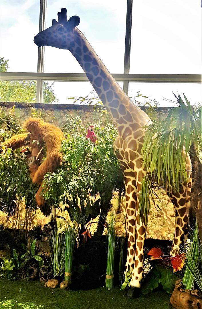 Location animaux de présentation Paris