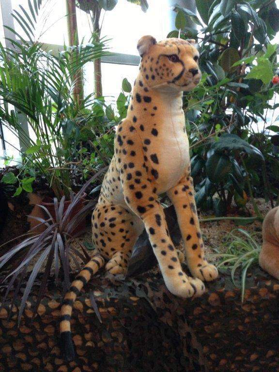 Location animaux décor évènementiel Paris