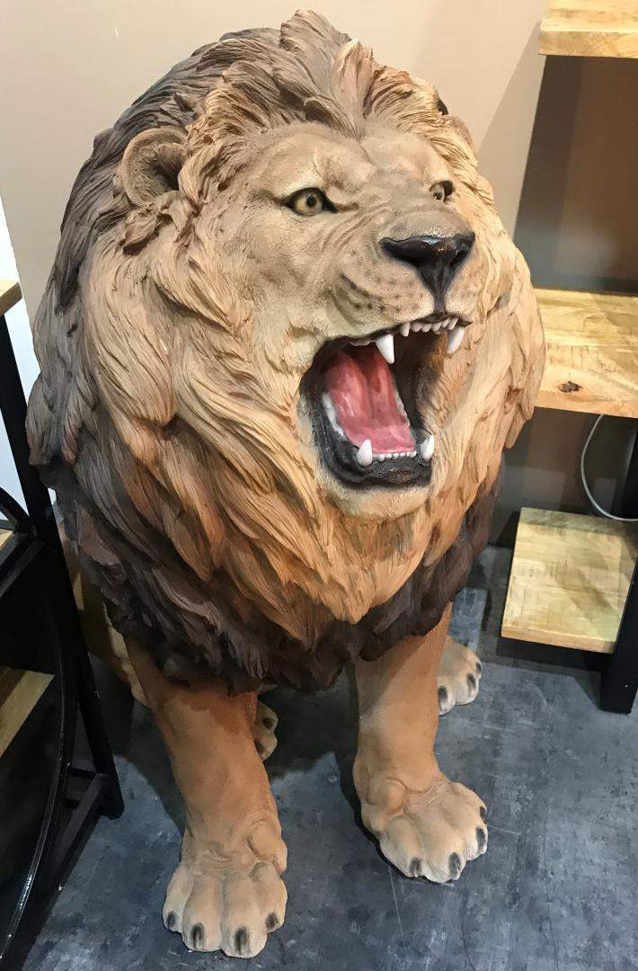 Location animaux décoratifs Paris 