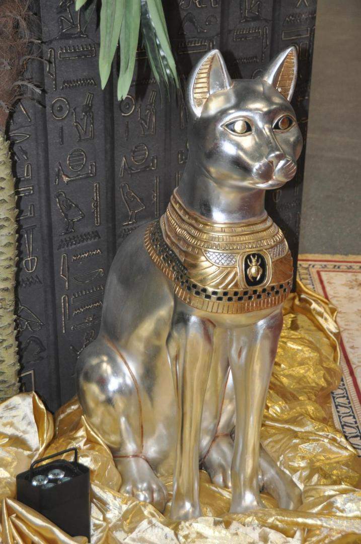 Location animaux décoratifs Paris