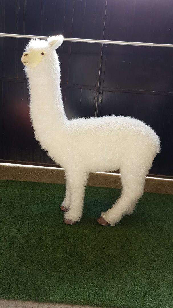 Location animaux décoratifs Paris