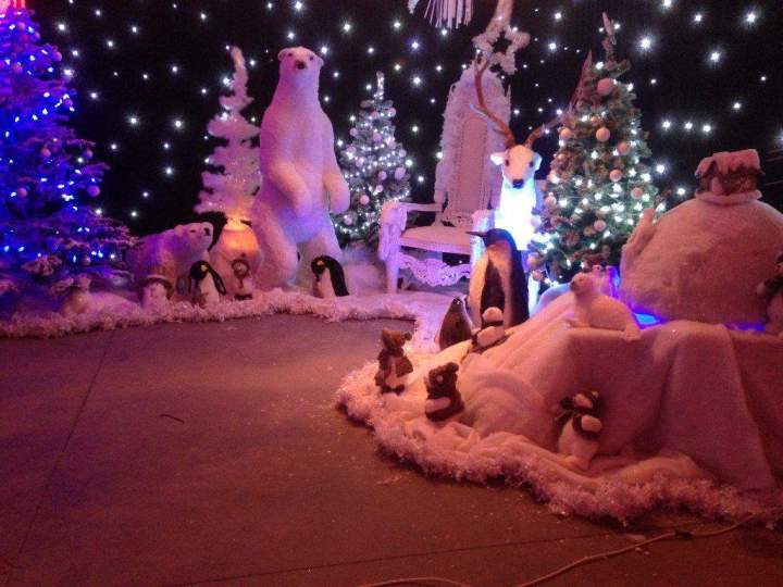 Location animaux en plastique Paris 