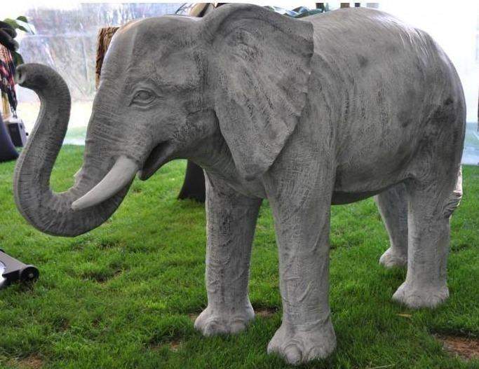 Location animaux géants Paris