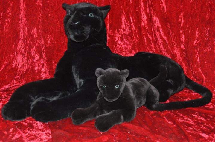 Location animaux pour décorations Paris