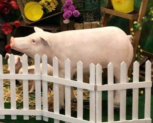 Location animaux pour événements Paris