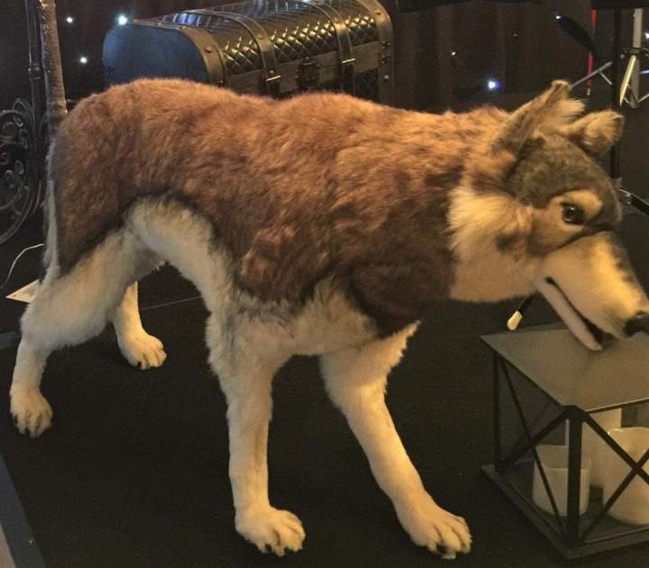 Location animaux pour expo Paris 