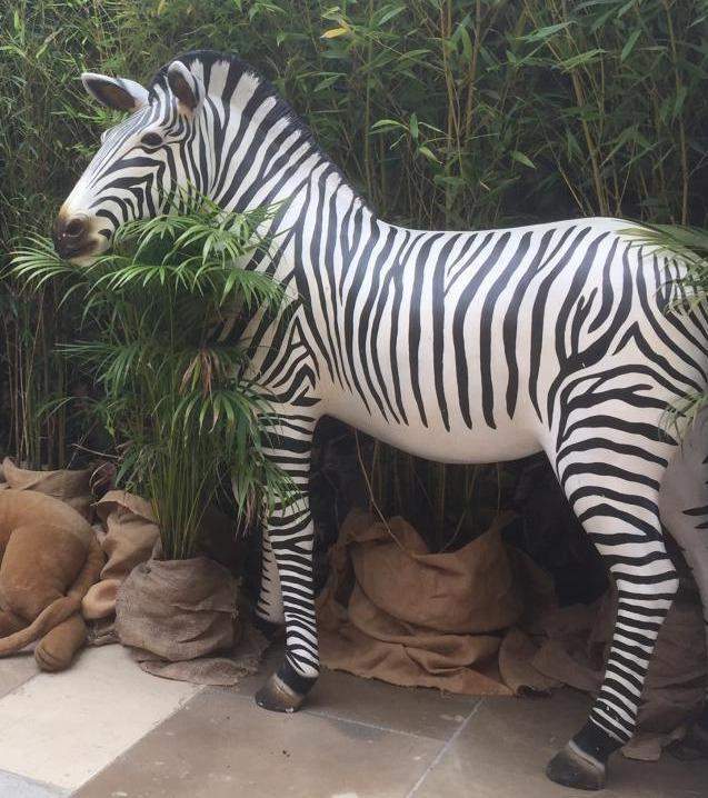 Location animaux pour vitrines Paris 
