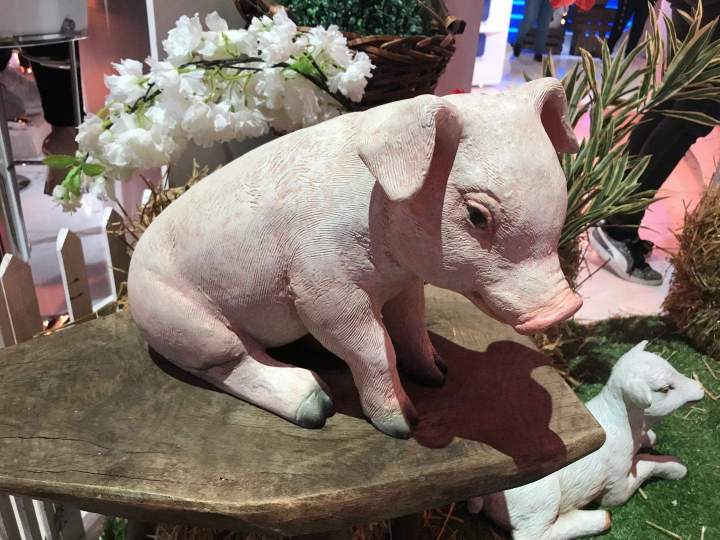 Location animaux réalistes Paris  