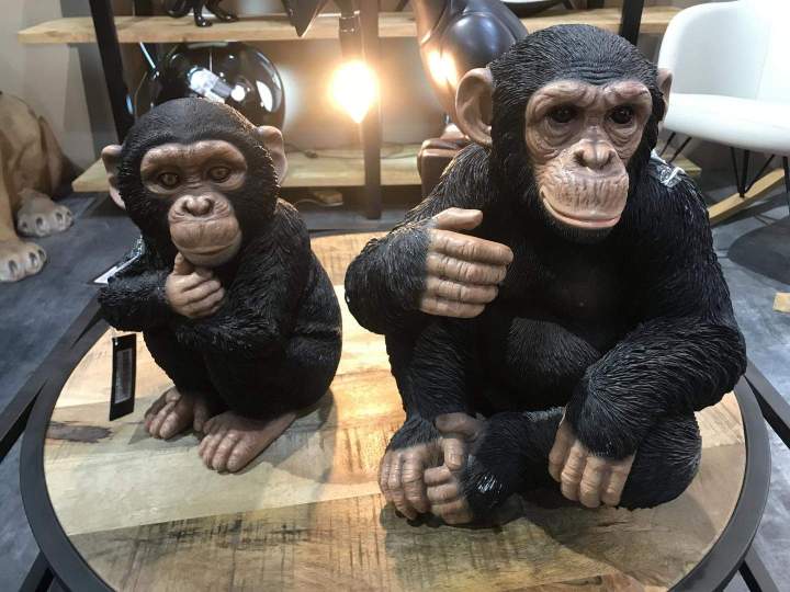Location animaux réalistes Paris