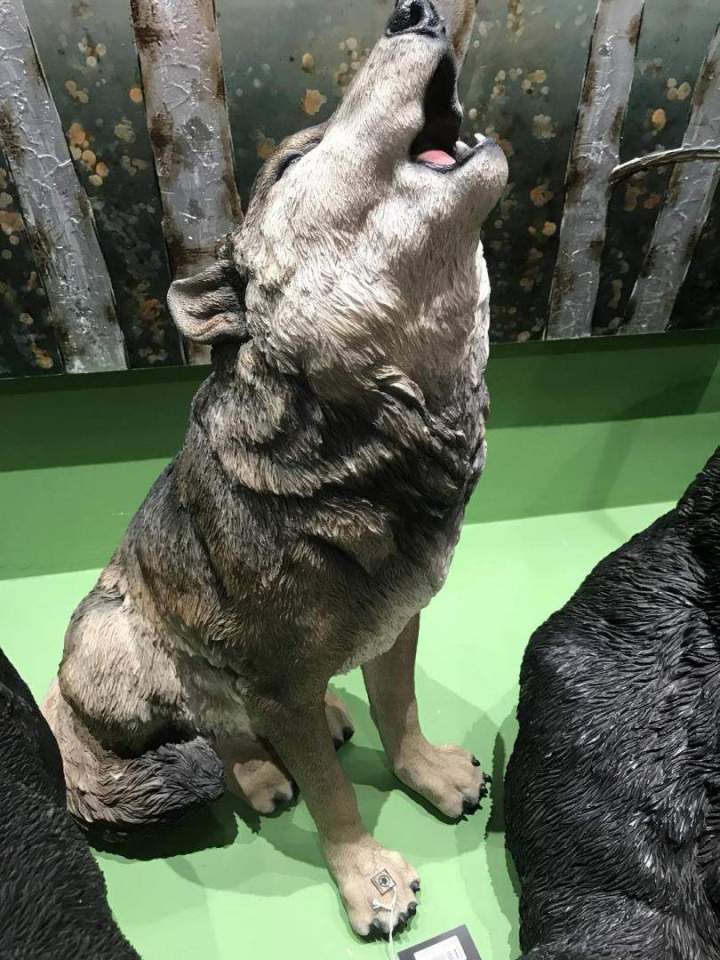 Location animaux thématiques Paris