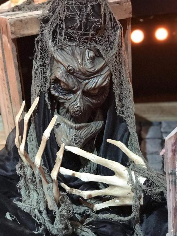 Location décorations thématiques Halloween Paris
