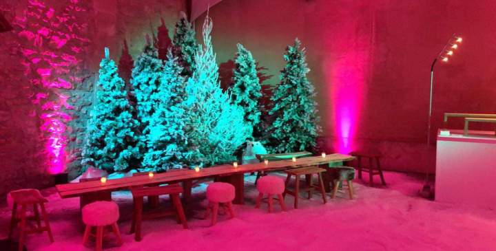 Location décors chalet Paris