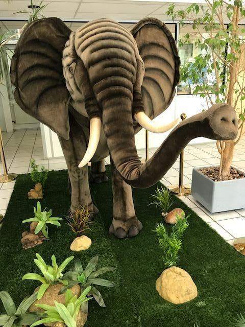 Location décors culturels Paris