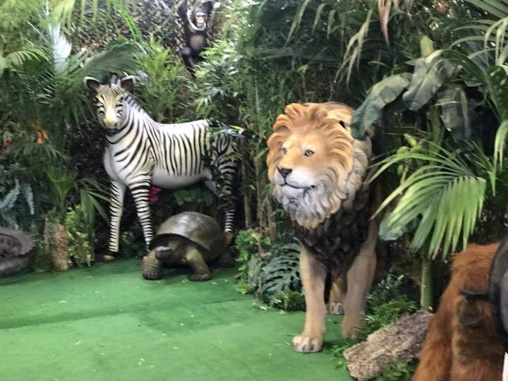 Location décors exotiques Paris