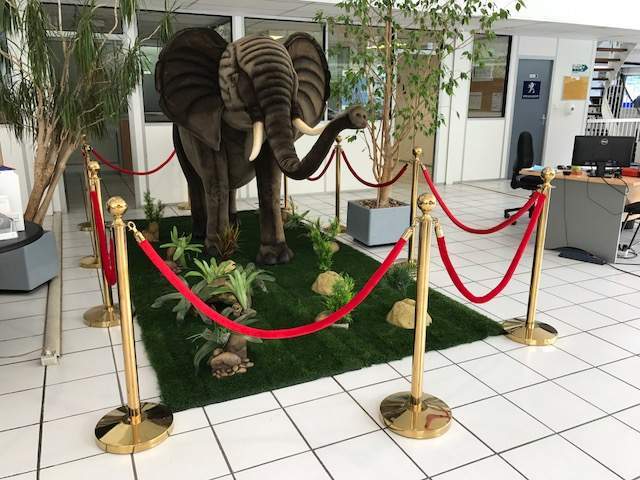 Location décors internationaux Paris
