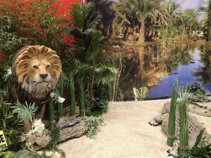 Location décors internationaux Paris