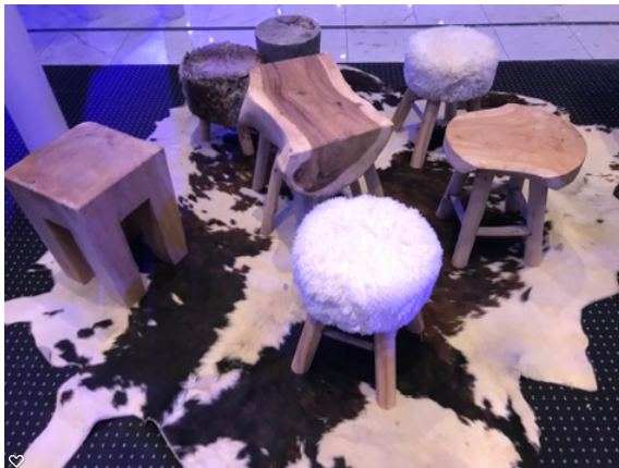 Location décors montagne Paris