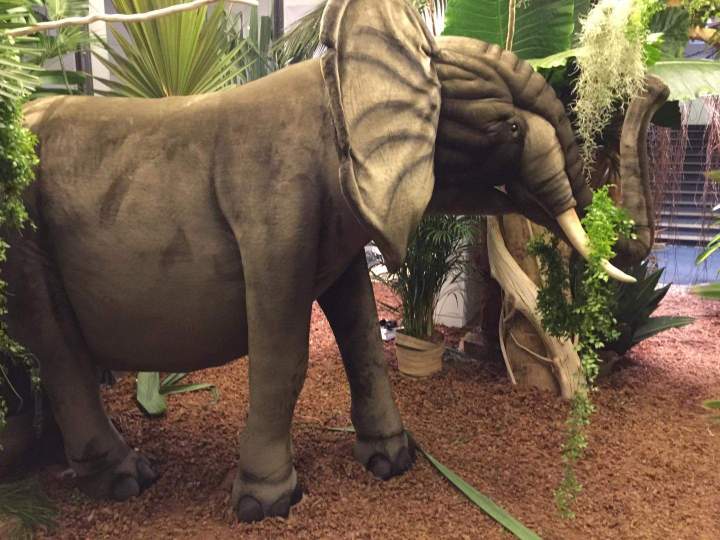 Location figurines animales Paris
