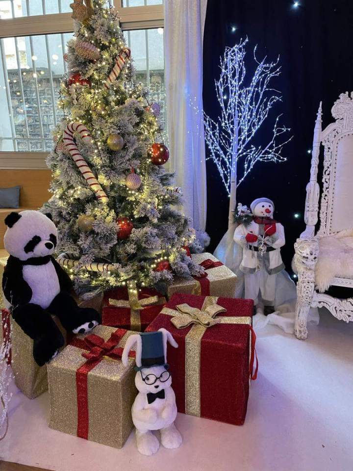 Thématique Noël Paris