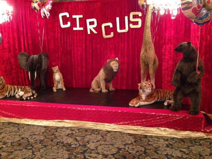 Univers cirque Paris