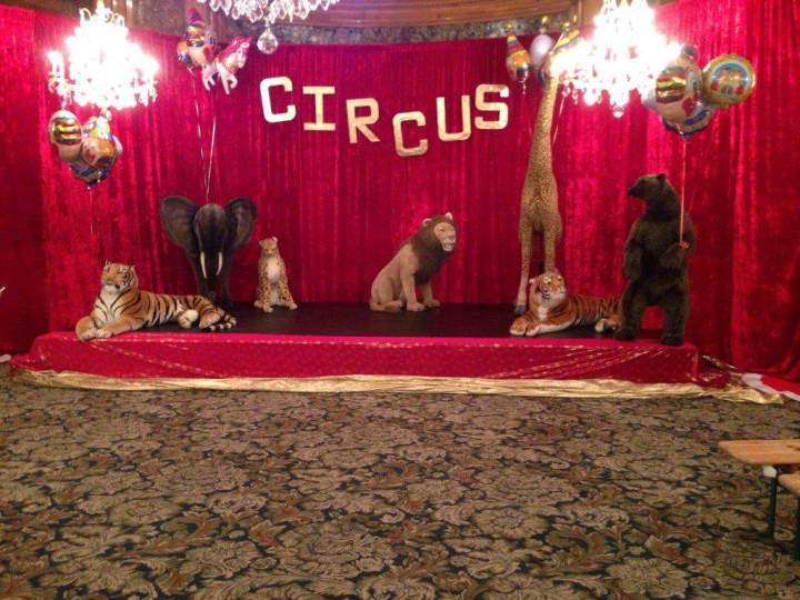 animations decors cirque clown ids (6)