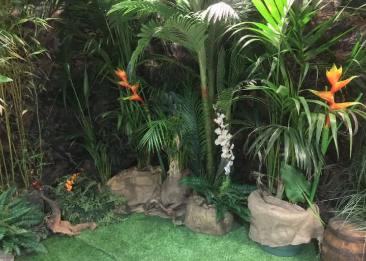 location decors animations jungle afrique safari ids (4)
