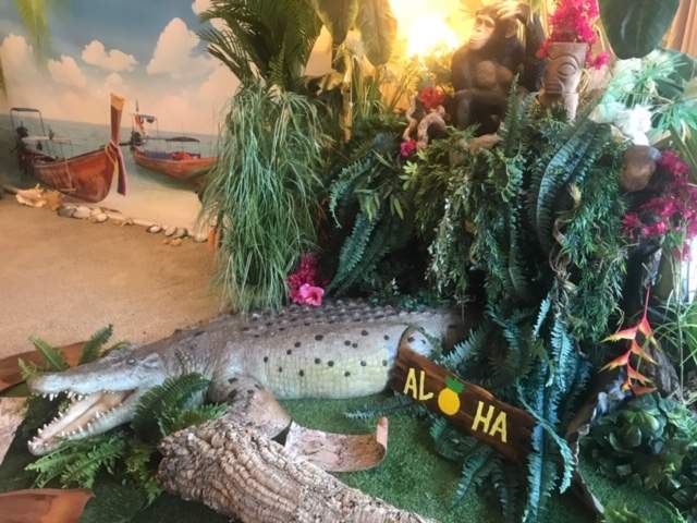 location decors animations jungle afrique safari ids (5)