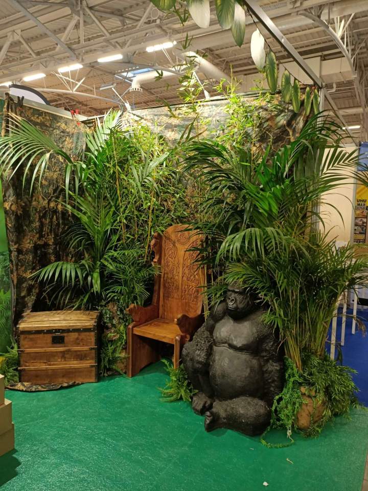 location decors animations jungle afrique safari ids