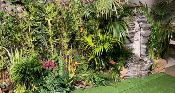 location decors animations jungle afrique safari ids (46)
