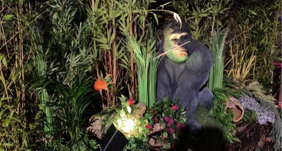 location decors animations jungle afrique safari ids (52)