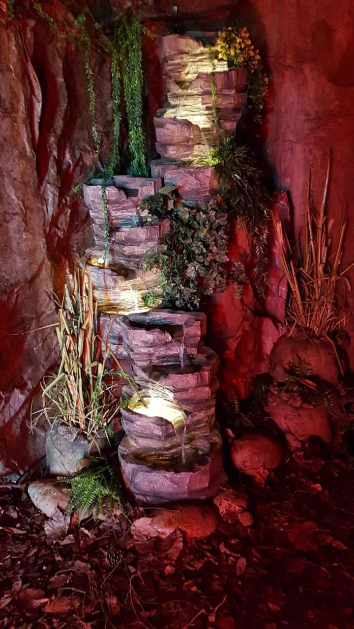 location decors animations jungle afrique safari ids (29)
