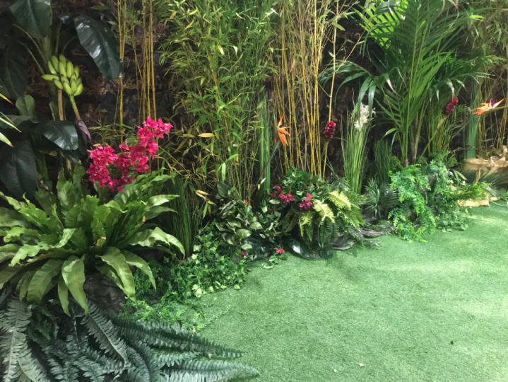 location decors animations jungle afrique safari ids (2)