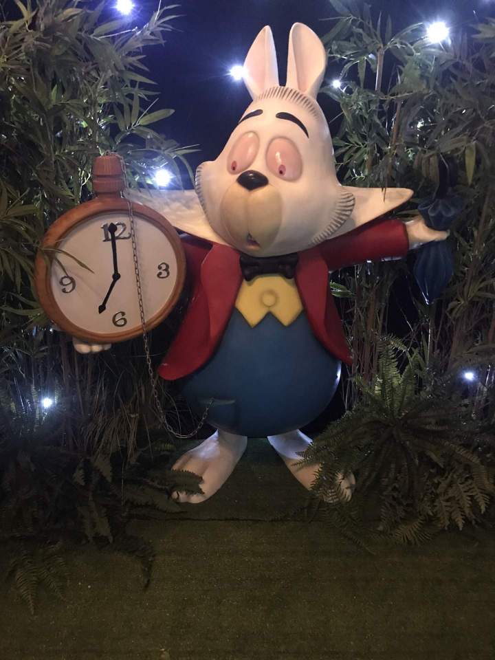 location lapin blanc horloge alice pays merveille ids