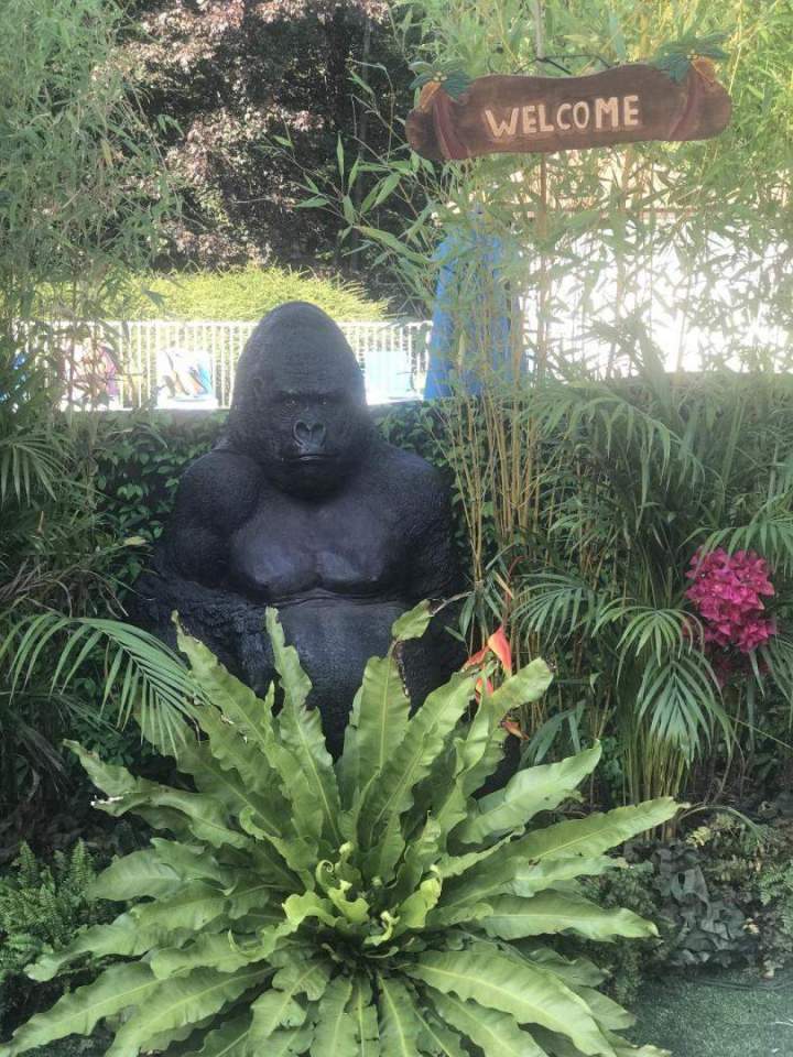 missions de divertissement Paris