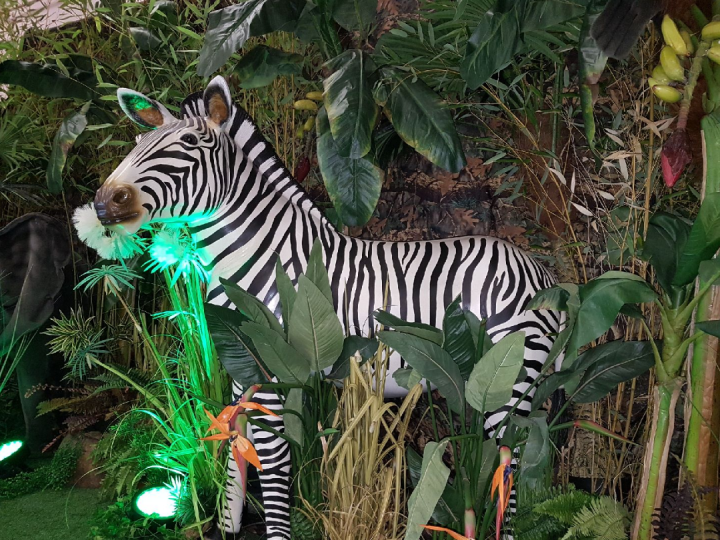 zebre resine ids